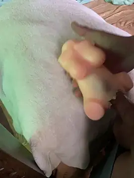 anonimotarado12 online show from October 9, 10:05 am