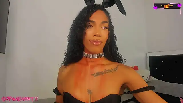 turabbitxx online show from October 31, 4:53 am