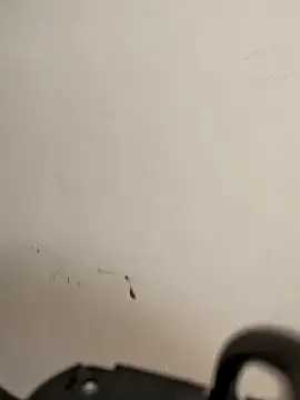 AvaLloyd online show from February 20, 6:19 am