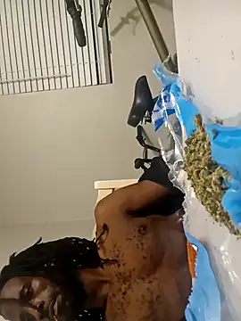 razzynolight online show from November 15, 10:30 am