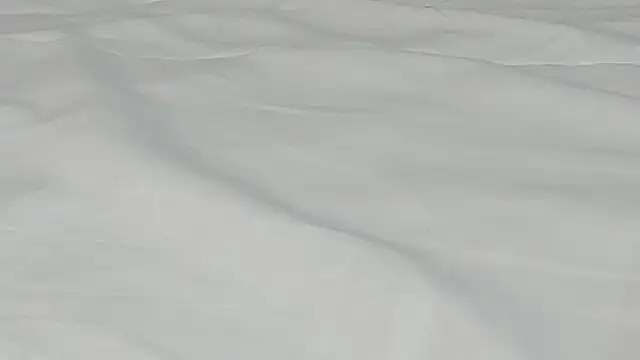 kamila twink sexy online show from March 27, 2:51 pm