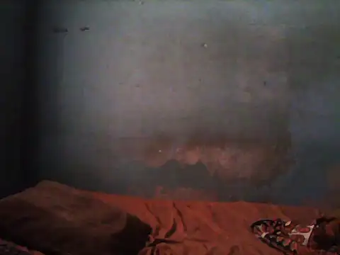 Snapshot of little__joy chatting on November 5, 1:47 pm little joy online show from November 5, 1:47 pm