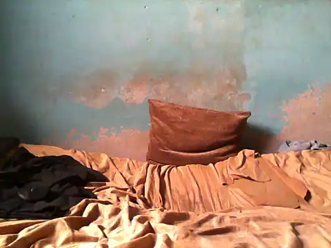 little  joy online show from February 7, 2:58 pm