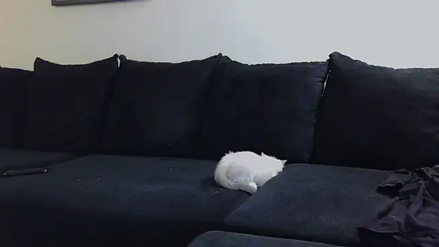 CrystalLakeXO online show from October 23, 4:55 am