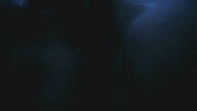 Everydayonli online show from January 14, 2:15 am