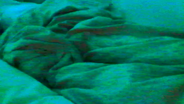 Everydayonli online show from January 16, 1:09 am