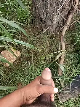 lovesuna online show from September 9, 8:46 am