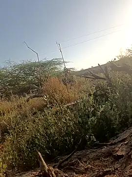 lovesuna online show from March 5, 2:25 am