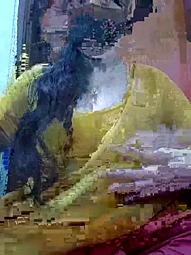 Anjel Sadia online show from February 27, 1:28 am