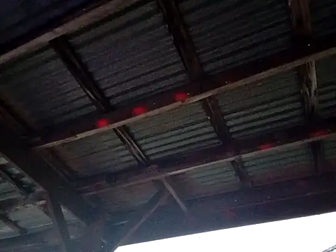 Snapshot of Xoc8_ chatting on December 1, 11:05 pm Xoc8 online show from December 1, 11:05 pm