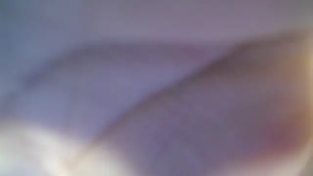 skeler lovd b  online show from March 20, 12:50 pm