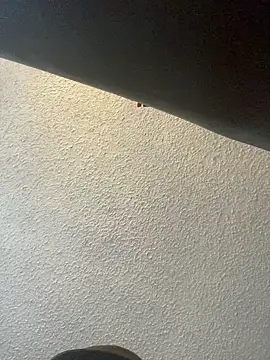 Miguel16i online show from February 26, 4:49 pm