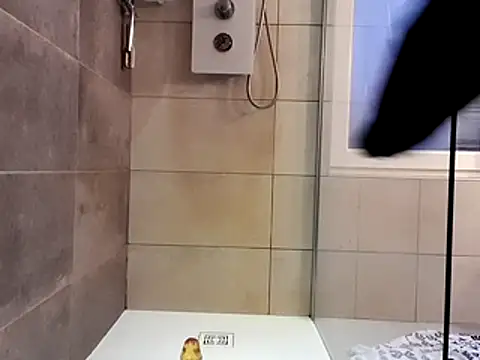 nfean2 online show from November 30, 3:57 pm