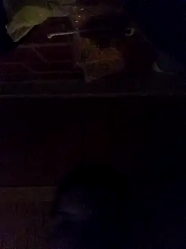 Snapshot of Elvergon3456 chatting on October 28, 4:57 am Elvergon3456 online show from October 28, 4:57 am