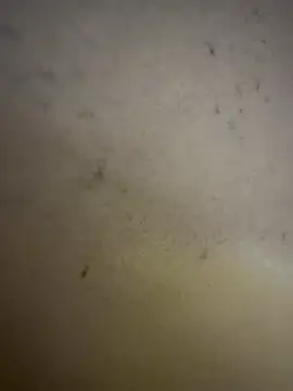 Snapshot of Gladiator_3 chatting on February 14, 11:10 am Gladiator 3 online show from February 14, 11:10 am