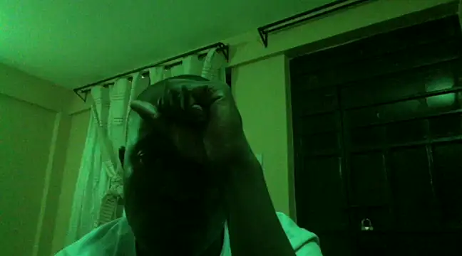 Maestro0023 online show from January 10, 11:18 pm