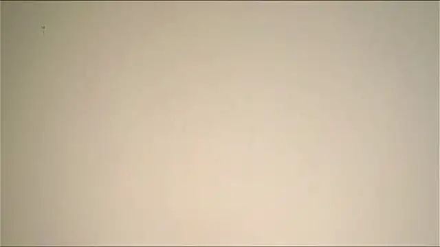 Elation Evy online show from March 19, 1:38 am