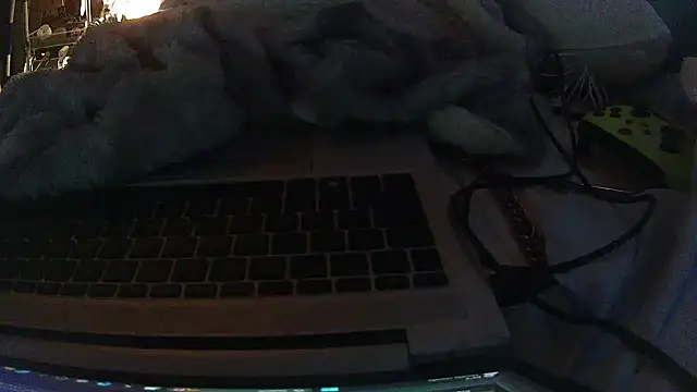 jaxx12369 online show from February 10, 7:35 pm