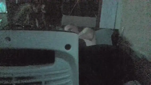 jaxx12369 online show from February 22, 7:04 pm