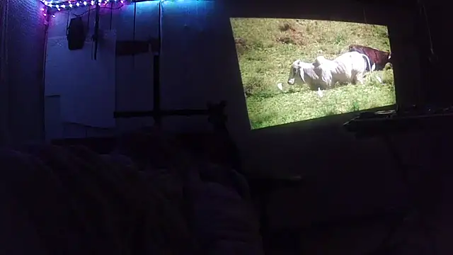 jaxx12369 online show from February 28, 6:35 am