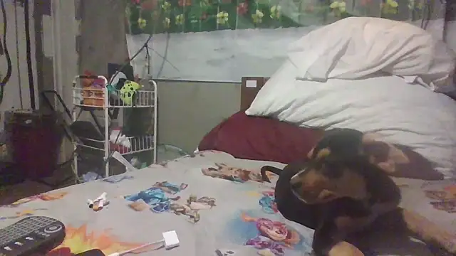 jaxx12369 online show from March 28, 5:41 am