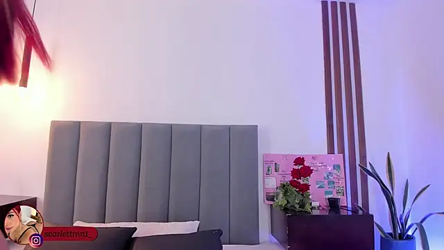 Scarlett Morgan  online show from November 24, 7:25 pm