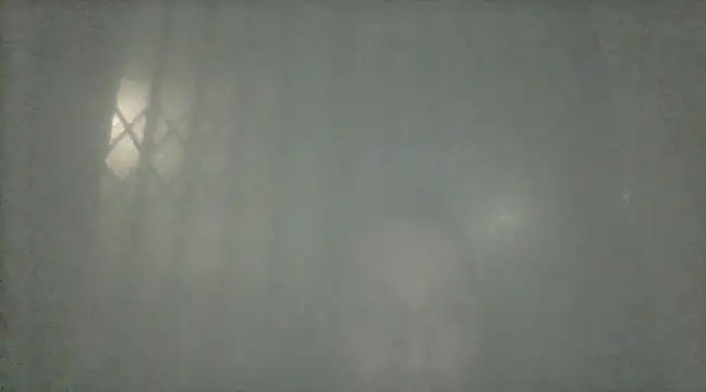 margiale84 online show from December 19, 8:02 pm