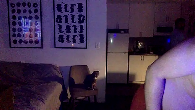 TheOnlyTwinTowers online show from April 7, 5:09 am