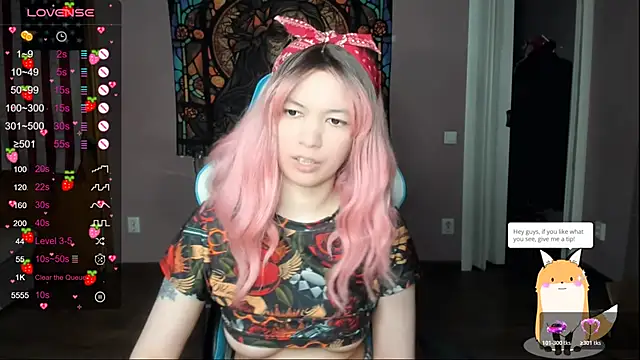 Project hisoka online show from April 3, 2:23 pm