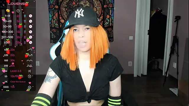 Project hisoka online show from April 4, 2:34 pm