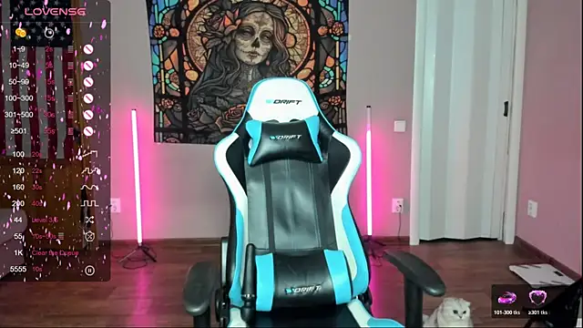 Project hisoka online show from November 22, 3:38 am