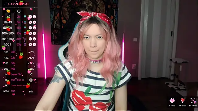 Project hisoka online show from January 10, 4:13 pm