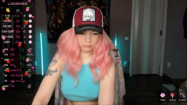 Project hisoka online show from February 3, 2:53 am