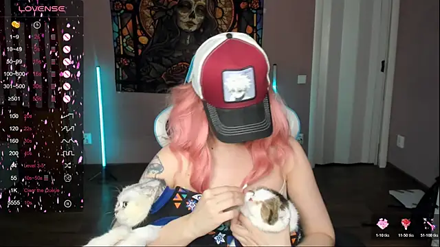 Project hisoka online show from November 6, 4:05 am