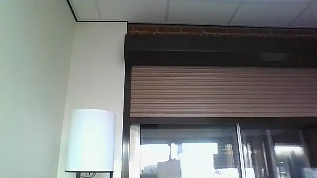 Wesleymodel online show from February 7, 8:00 am