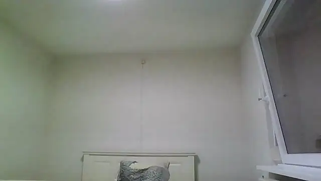 Wesleymodel online show from February 10, 7:24 pm