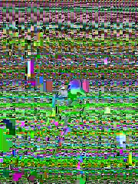 Snapshot of cadenfoxx111 chatting on May 13, 5:20 pm cadenfoxx111 online show from May 13, 5:20 pm