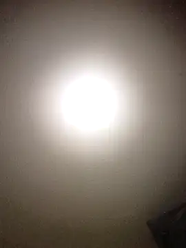 pineda1689 online show from May 19, 4:58 pm