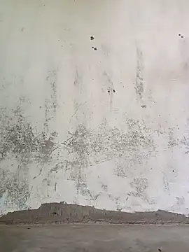 Yasha 14C Creator online show from October 13, 4:03 am