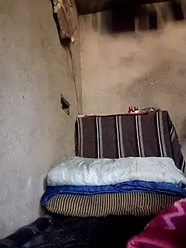 Yasha 14C Creator online show from December 4, 5:17 am