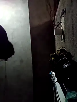 Yasha 14C Creator online show from December 18, 9:47 am