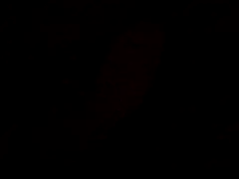 pnp0Japan online show from February 18, 4:47 pm