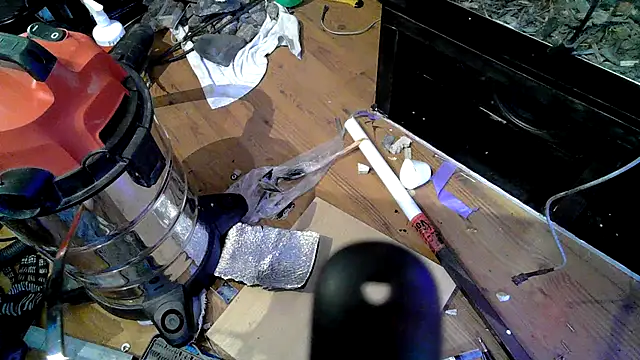 0815lukas2024 online show from September 24, 12:22 pm