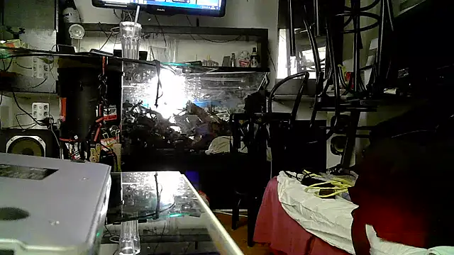 0815lukas2024 online show from November 3, 5:05 pm