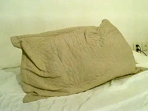 pollarikaaa online show from November 6, 10:58 pm