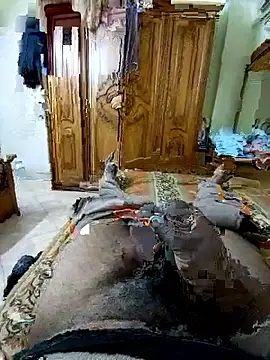 ListedLoin online show from March 14, 9:15 am