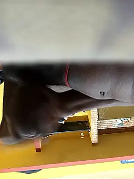 Tamil boy age28 online show from January 12, 3:35 am