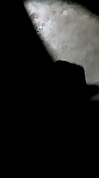 Snapshot of Tamil_boy_age28 chatting on March 1, 3:16 pm Tamil boy age28 online show from March 1, 3:16 pm