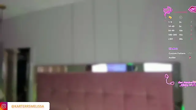 MelissaKarterrs online show from February 13, 12:05 pm