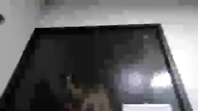 mmmVirginia online show from March 24, 2:55 am